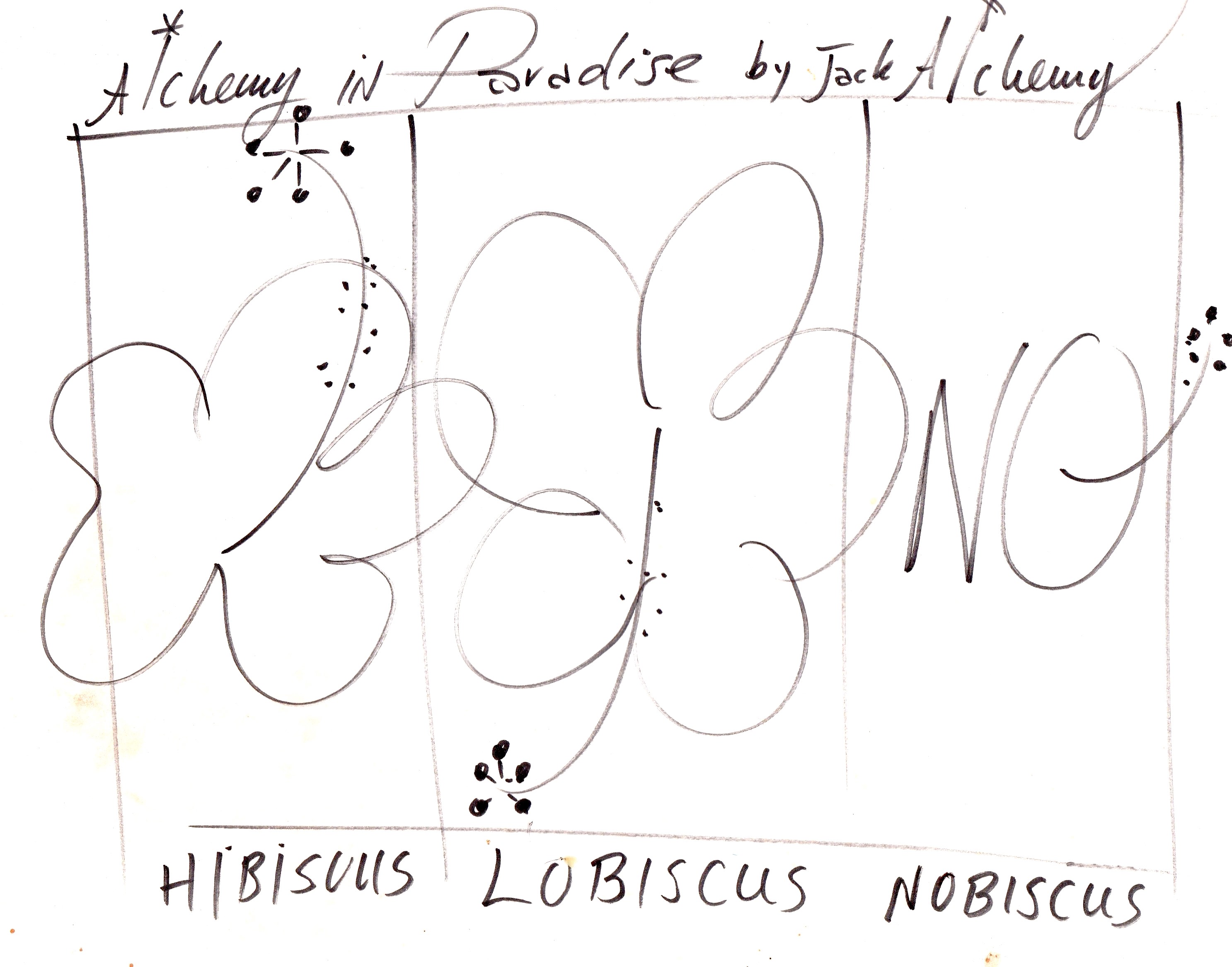 Hibiscus cartoon