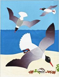 laughing
                                    gulls